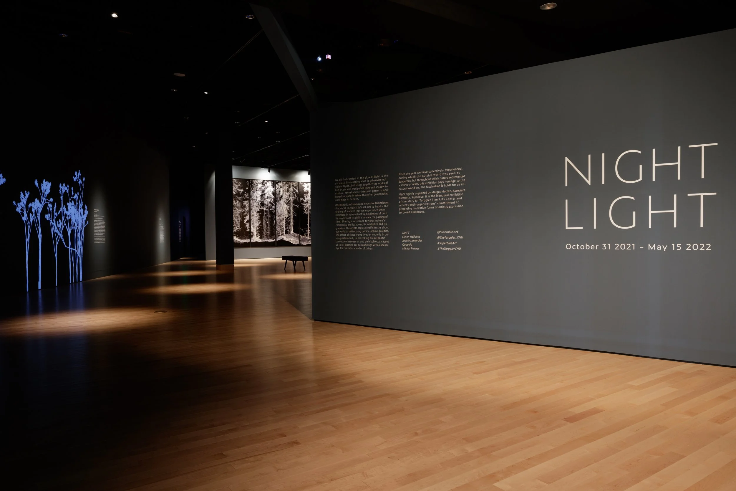 Night Light — Margot Mottaz | Curator